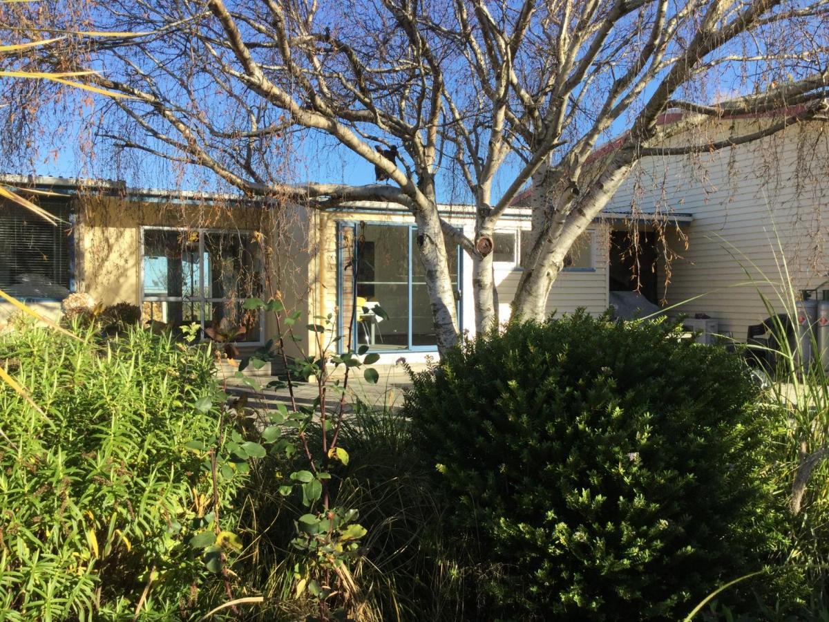 Stay In School By The Sea Dunedin Exterior foto